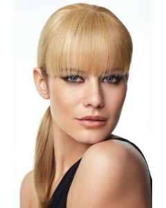 Human Hair Bangs by Raquel Welch | Monofilament Clip In Bangs