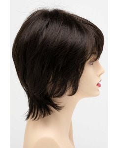 Jane Wig by Envy Wigs | Hand Tied, Lace Front, Monofilament