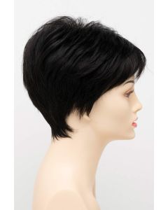Petite Tiffany Wig by Envy | Monofilament