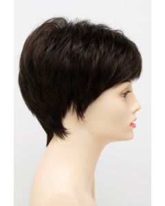 Petite Tiffany Wig by Envy | Monofilament