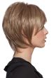Bieber Wig by Wig Pro 