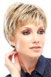 Elite by Jon Renau Wigs