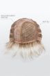 Link Wig by Ellen Wille | Petite/Average, Lace Front, Mono Part, Heat Friendly