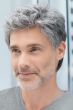 Justin Mens Wig by Ellen Wille | Lace Front, Monofilament Top