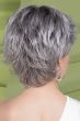 Rica Wig by Ellen Wille | Petite/Average, Lace Front, Monofilament 
