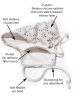 Bamboo Medical & Surgical Face Mask | Coronavirus Protective Cloth Face Mask Cover (Solids)