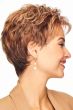Large Acclaim Wig by Eva Gabor