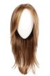Petite/Average Simply Flawless Wig by Eva Gabor | Lace Front, Monofilament Part