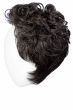 Dignified Mens Wig by HIM | Heat Resistant, Lace Front, Monofilament 