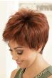 Ivy Wig by Envy