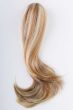 Swing Hairpiece by Tony of Beverly  | Clip On Ponytail Wig