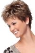 zest by eva gabor wigs