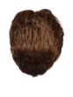 Petite Incentive Wig by Eva Gabor | Monofilament