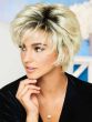 Petite Voltage Wig by Raquel Welch