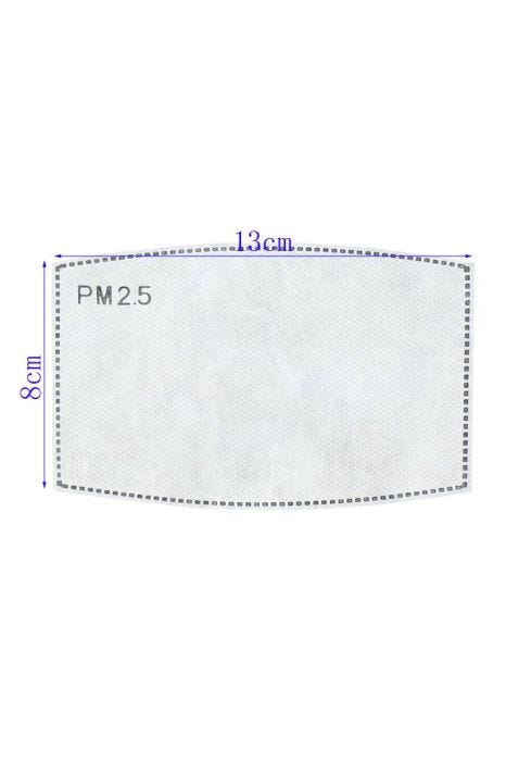 PM2.5 filters to go inside face masks