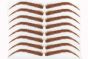 Eyebrow Tattoos #22: Full Brow & Soft Angled Arch Eyebrow Tattoos