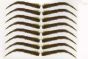 Eyebrow Tattoos #22: Full Brow & Soft Angled Arch Eyebrow Tattoos