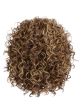 Click, Click, Flash Wig by Raquel Welch | Heat Resistant, Lace Front