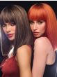 The Fringe Effect Wig by Hairdo | Heat Friendly