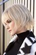 Pax Wig by Rene of Paris