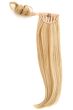 25 Inch Straight Pony by Hairdo Wigs