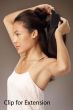 2 in 1 Extension Wrap and Braided Pony Wrap by Revlon Wigs