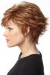 fascination by raquel welch wigs