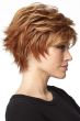 fascination by raquel welch wigs