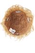 sonata by raquel welch wigs