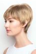 Connie Wig by Amore | Monofilament