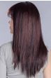 Cher Wig by Ellen Wille | Petite/Average, Mono Crown, Heat Friendly