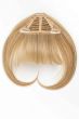 Clip In Bangs 1PC by Hairdo