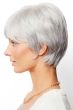 Connie Wig by Amore | Monofilament