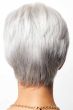 Connie Wig by Amore | Monofilament