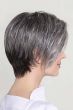 Aletta Wig by Ellen Wille | Petite/Average, Lace Front, Mono Part, Heat Friendly