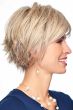 Innuendo Wig by Eva Gabor