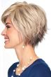 Innuendo Wig by Eva Gabor