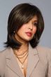 Inspire Me Wig by Eva Gabor | Heat-Friendly, Lace Front, Mono Top