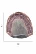 Medium Wavy Top Piece Hair Topper by Amore | Lace Front, Monofilament, Heat Friendly