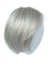 Petite Classic Cool Wig by Raquel Welch | Lace Front, Monofilament Part
