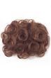 Whimsy Clip In Hair Piece by Raquel Welch | Chignon Updo WIg