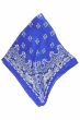 Satin Bandana Headscarf | Colorful Satin Bandanas for Women