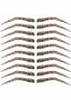 Eyebrow Tattoos #16: Basic Feathered Arched Brow