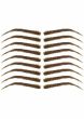 Eyebrow Tattoos #18: Medium Arc & Full Brow