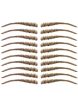 Eyebrow Tattoos #19: Full Feathered Brow w/Shallow Arc