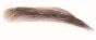 Closeup of men's eyebrow wig in dark brown