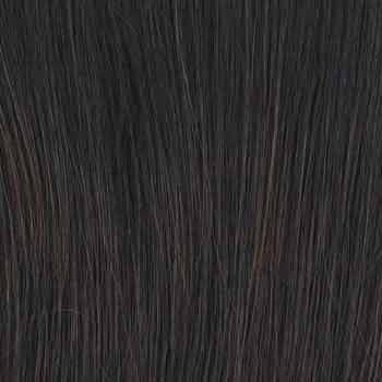 Eva Gabor Wig Color Dark Chocolate Mist