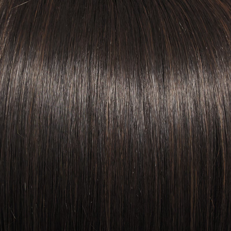 Eva Gabor Wig Color Dark Chocolate Mist