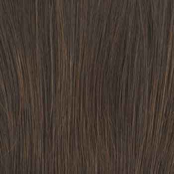 Eva Gabor Wig Color Dark Chocolate Mist