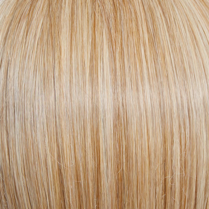 Eva Gabor Wig Color Dark Chocolate Mist